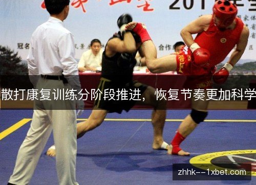 散打康复训练分阶段推进，恢复节奏更加科学